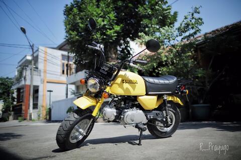 honda gorilla z50 original