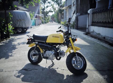 honda gorilla z50 original