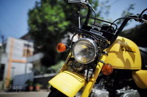 honda gorilla z50 original