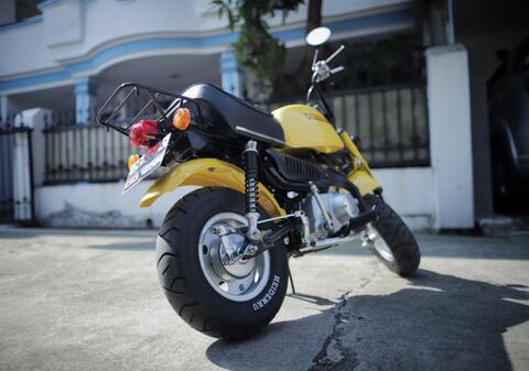 honda gorilla z50 original