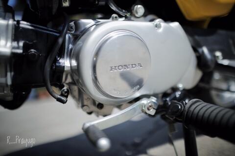 honda gorilla z50 original