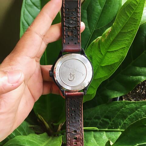 Jam Tangan Pria Alexandre Christie 6279MF Original 100%