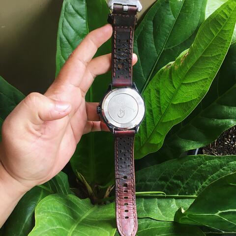 Jam Tangan Pria Alexandre Christie 6279MF Original 100%