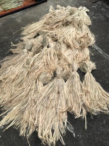 Serat Sisal / Sisalana Agave / Serat Nanas Warna Coklat Kemerahan