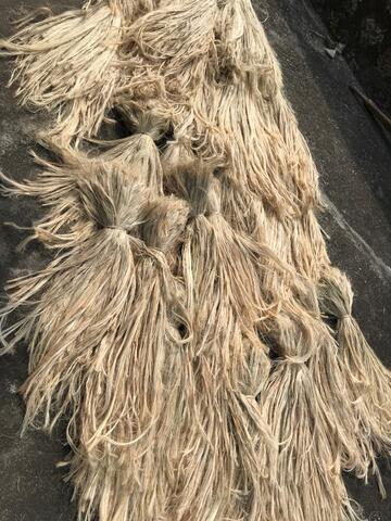 Serat Sisal / Sisalana Agave / Serat Nanas Warna Coklat Kemerahan