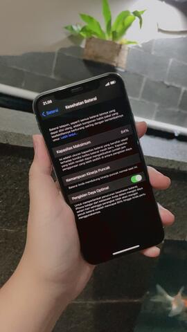 iphone x fullset original ibox