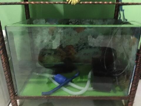 Aquarium 60x40x40. Satu Set Lengkap. Ada Retak Di Bagian Bawah Sudut.