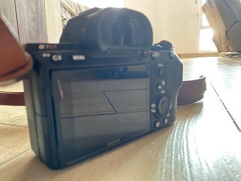 Sony a7riii