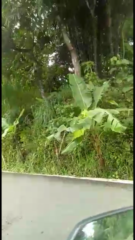 jual tanah lokasi RS waras-wiris andong boyolali jawa tengah