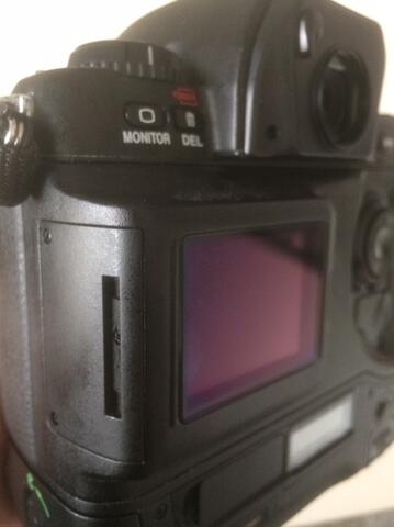Mint condition NIKON D1X Kamera Digital SLR