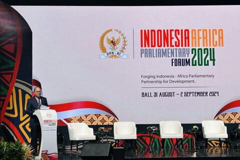 Laju Investasi RI - Afrika, Perkuat Diplomasi Geopolitik Selatan – Selatan