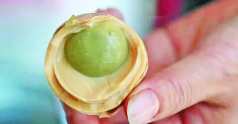 telur-perjaka-kuliner-ekstrem-yang-menjadi-hidangan-khas-musim-semi