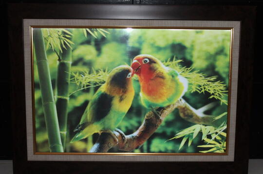 30 Ide Lukisan Burung Lovebird  Verbal Exhibitionist