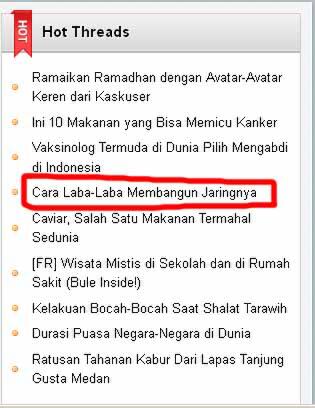 nih gan Cara Laba-Laba Membangun Jaringnya
