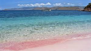 Tambah Pengalaman Wisata Ke Pantai PINK - PULAU LOMBOK - Lombok Timur