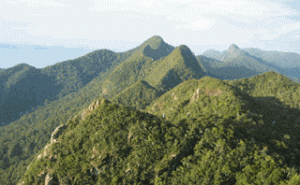 Taman Nasional Gunung Palung Kaskus