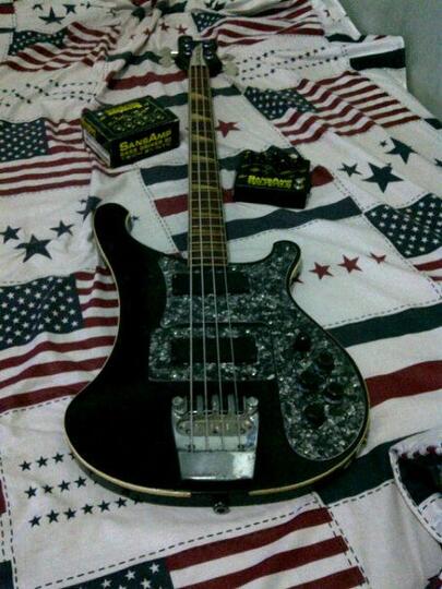 jual bass rickenbacker custom