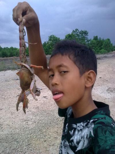 Ditemukan hewan perpaduan Udang, Kepiting dan Kalajengking