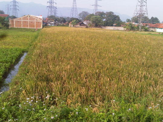 WTS Jual Tanah di daerah batujajar Bandung Barat
