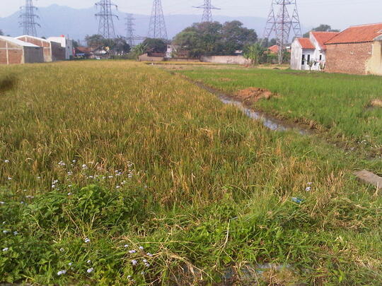 WTS Jual Tanah di daerah batujajar Bandung Barat