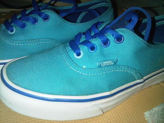 vans authentic size 6