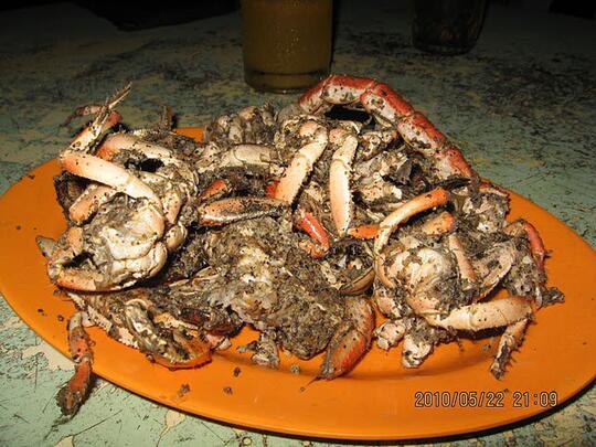 Ditemukan Hewan Perpaduan Udang Kepiting Dan Kalajengking Page