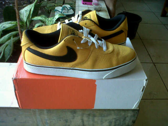 Terjual JUAL Nike 6.0 Mavrk low BARU 