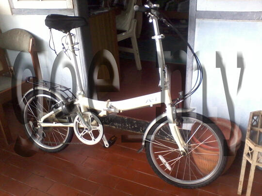 dahon a1