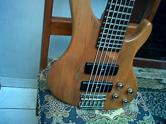 washburn strings