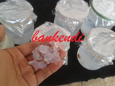 ALGAE KRISTAL JEPANG MURAH ( BERGARANSI )