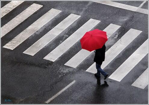 RIP Zebra Cross di Indonesia