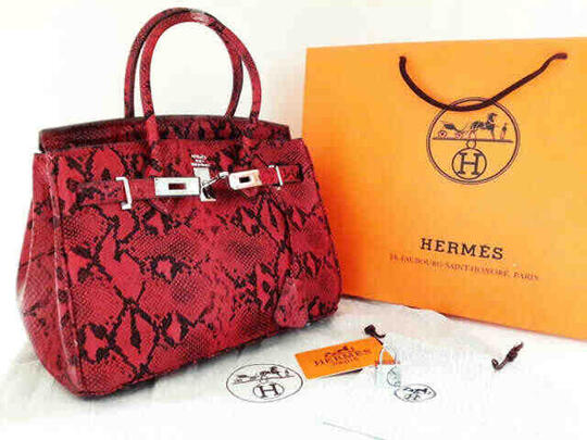 hermes birkin snake