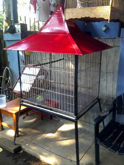 Terjual Kandang Besi Besar Untuk Burung Ayam Kaskus