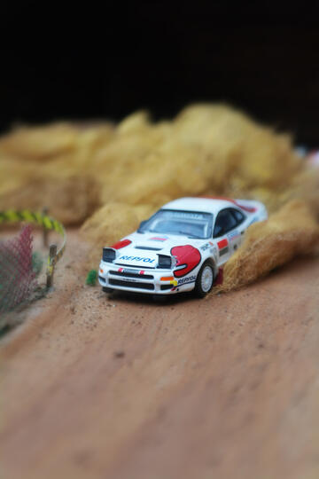 Diorama Diecast 1/64 Rally