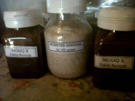 PAKAN IKAN HIAS PELLET MONSTER DAN MOLIQ ( CUPANG , GUPPY DLL )