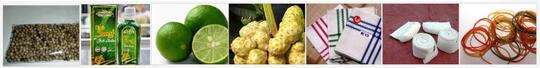 ~๑๑.Yuk...Basmi Serangga di Rumah Tanpa Bahan Kimia..๑๑~
