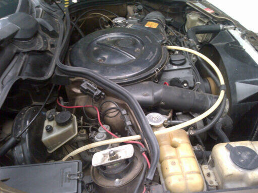 Mercy Boxer '88 200