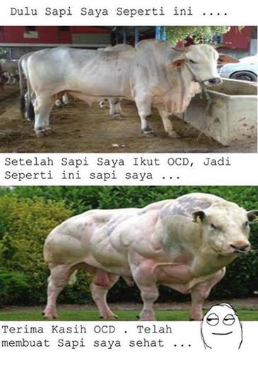 930 Gambar Hewan Yang Dilindungi Pemerintah Gratis Terbaik