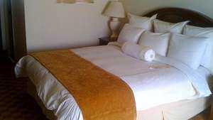 Wanita Ini menginap di Hotel selama 9 tahun