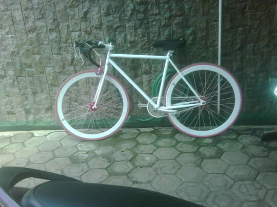 Basikal Fixie Warna Gold