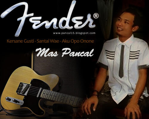 MAS PANCAL HADIR - 1993 Fender Stratocaster American standard