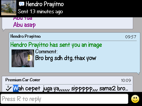Stylist n Optimize Auto Car Cover (selimut mobil)