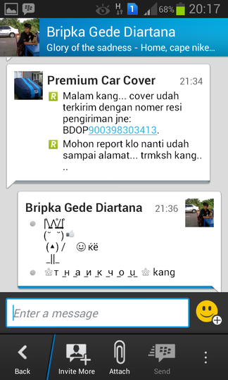 Stylist n Optimize Auto Car Cover (selimut mobil)