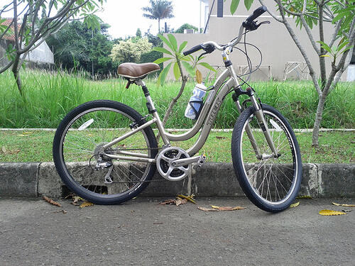 Terjual JUAL SEPEDA MTB/XC TREK GARY FISHER \u0026 TREK NAVIGATOR 3.0 | KASKUS