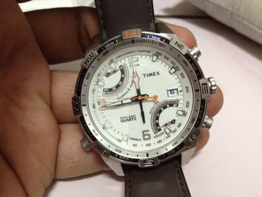 timex t49866