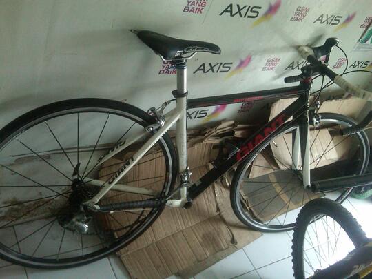 giant tcr limited