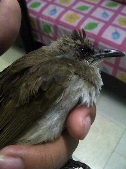 Trucukan Lover Page 65 Kaskus