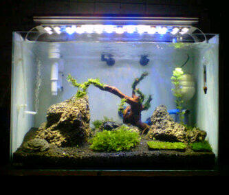 Download 62+ Background Awan Aquarium HD Terbaru