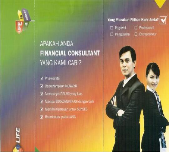 financial consultant