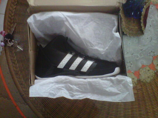 BNIB Sepatu Basket Adidas TD3 Commander Original MURMER (jual kekecilan)